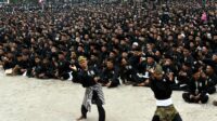 Organisasi silat