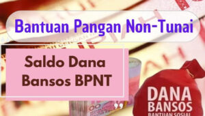 Bansos BPNT, NIK KTP, Data Terpadu Kesejahteraan Sosial, DTKS, Kartu Keluarga Sejahtera, pencairan dana, 400K, cek status bansos, aplikasi Cek Bansos, situs Kemensos, bantuan sosial, verifikasi KTP, saldo bansos, pencairan tahap 6, cek bantuan, November-Desember 2024