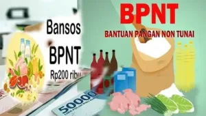 BPNT 2025, jadwal pencairan BPNT, penerima BPNT, cara cek BPNT, syarat penerima BPNT, aplikasi cek bansos, bantuan sosial pangan, kartu keluarga sejahtera, data BPS BPNT, tahap pencairan BPNT