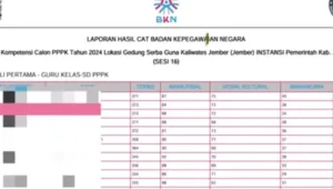 pengumuman PPPK, hasil seleksi PPPK, SSCASN instansi, BKN PPPK, pengumuman kelulusan, seleksi tahap pertama, honorer PPPK, peserta PPPK 2024, formasi PPPK, Panselnas PPPK, pengumuman resmi, jadwal seleksi PPPK, tenaga honorer, seleksi pppk