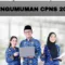 pengumuman CPNS, hasil CPNS 2024, cek kelulusan CPNS, jadwal CPNS terbaru, cara cek CPNS, portal SSCASN, nilai SKD SKB, masa sanggah CPNS, instansi CPNS 2024, daftar riwayat hidup CPNS