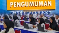 nasib honorer, seleksi PPPK, PPPK tahap 1, PPPK tahap 2, UU Nomor 20, penghapusan honorer, daftar PPPK, gagal seleksi PPPK, PPPK part-time, approval instansi, seleksi PPPK 2024