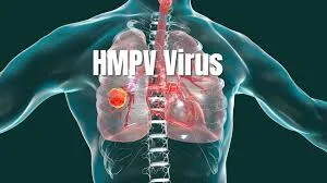 virus hmpv china, HMPV China, gejala HMPV, pencegahan HMPV, virus HMPV, penularan HMPV, Human Metapneumovirus, infeksi HMPV, cara cegah HMPV, tanda HMPV, HMPV terbaru, HMPV anak-anak, risiko HMPV, kasus HMPV, HMPV parah, dampak HMPV